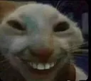 hehehe hehehe