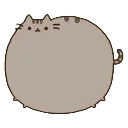 pusheenfat