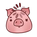 ConfusedPiggy