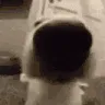 SNIFFA