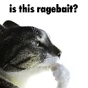 isthisragebait