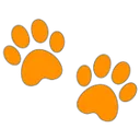 yorange_1