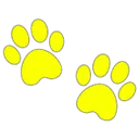 yyellow_1