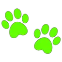ygreen_1