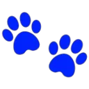 yblue_1