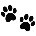 yblack_1