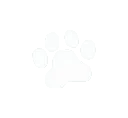 051_white_paw