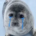 __