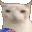 veryCat