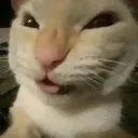 mwehehehe