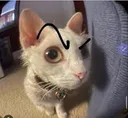 bse