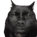 2_