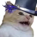 D_cat_aaaaaaa