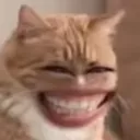 hihihi