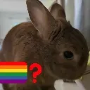 gay_questionmark_bnuuy