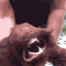 dog_barking