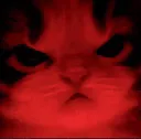 kittyangry