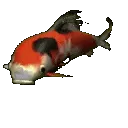 KoiFish