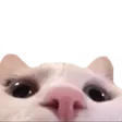 luuurk