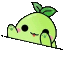bongoKo2x