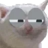 suscat
