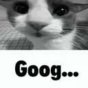 goog goog