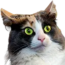BonnieGhost BonnieGhost
