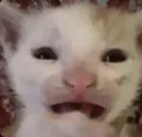 FEAR
