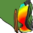 Pepe_LookWickedDown