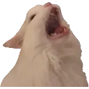 emoji_49