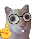 emoji_48