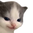 emoji_57