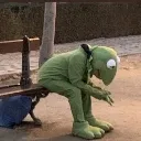 sadgekermit