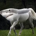 shorse