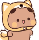 acyellowfoxbear