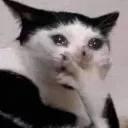 emoji_4