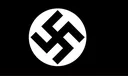 neonaziflag
