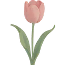 70533pinkflower