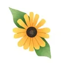 wildflower