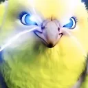 evilcaucasionbird