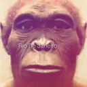 singe