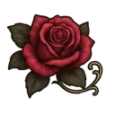 softpetal