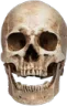 deadinreallife