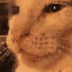 z_kitty_blep_silly_blink
