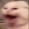 Nyoooooh