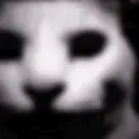 RWCATWTF