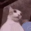 oo