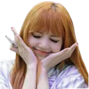 LISA_cutie