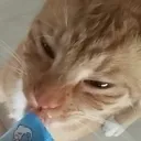 emoji_77
