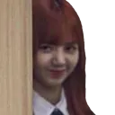 LISA_peek